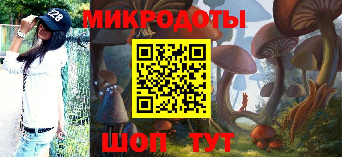 Абакан  Псилоцибиновые грибы прущие грибы  Вход с VPN 